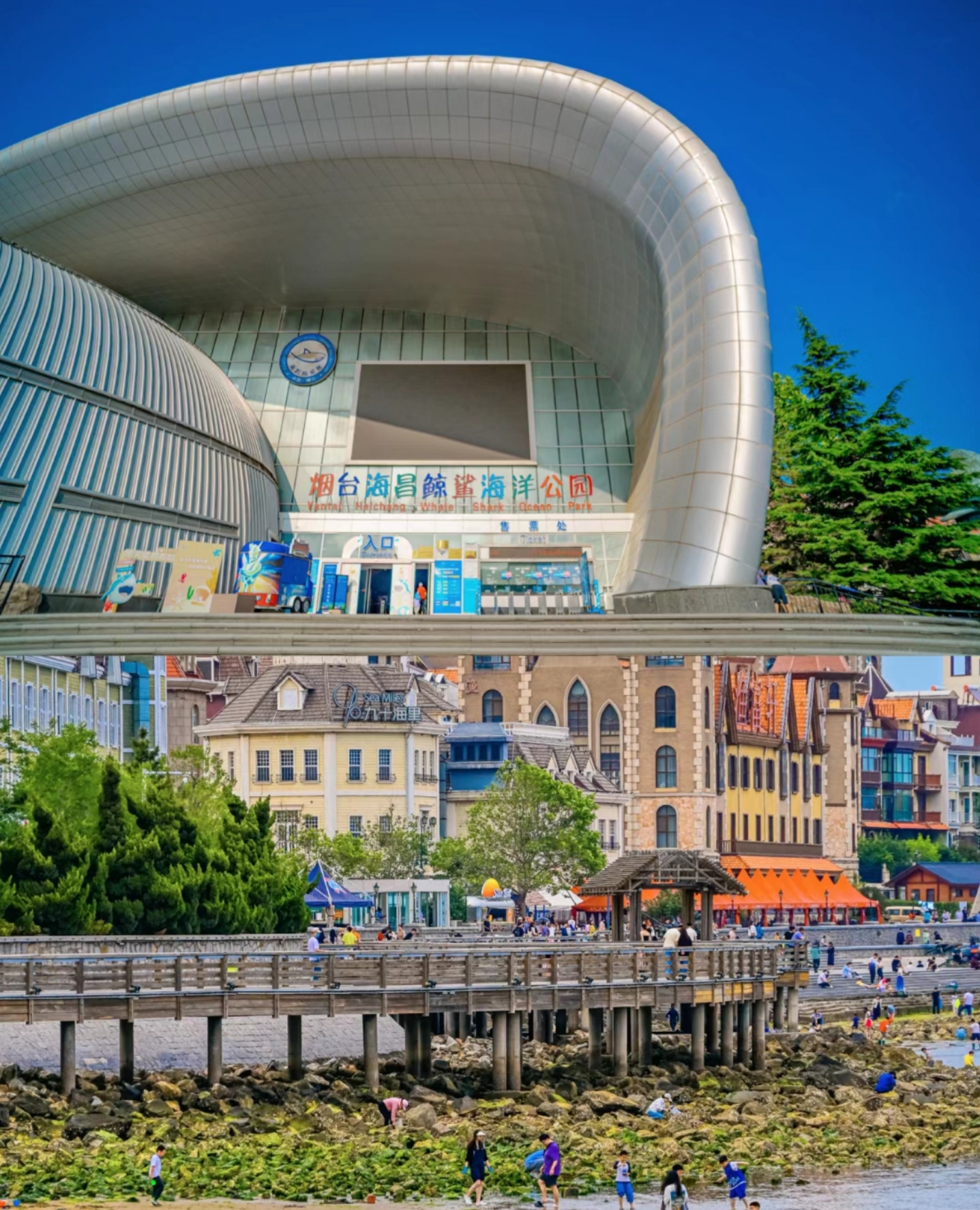 烟台鲸鲨馆值得去吗？探索山东鲸鲨馆的魅力与便捷出行攻略